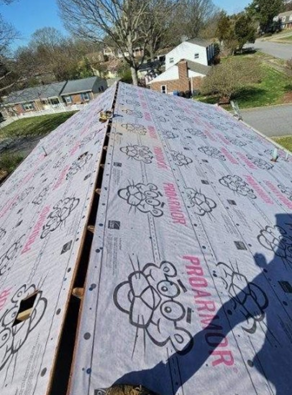 b00722d5-fd49-45c1-8f75-fed748c6be02 1